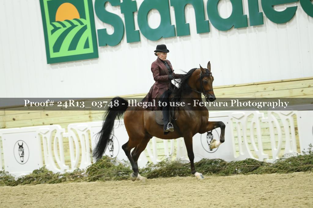 Proof 24R13_03748