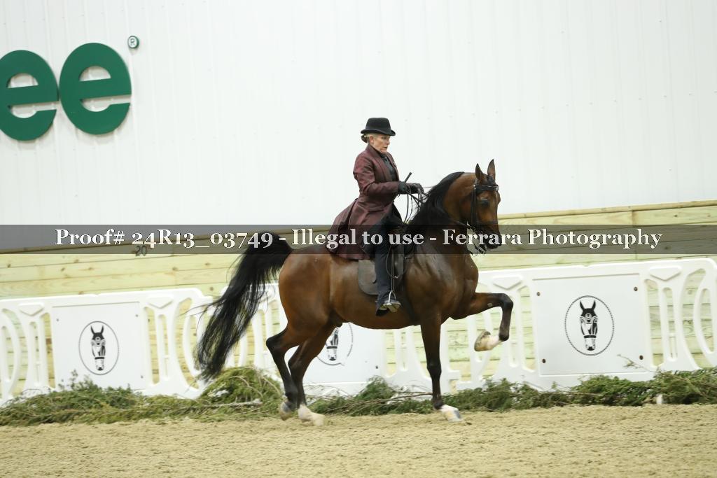 Proof 24R13_03749