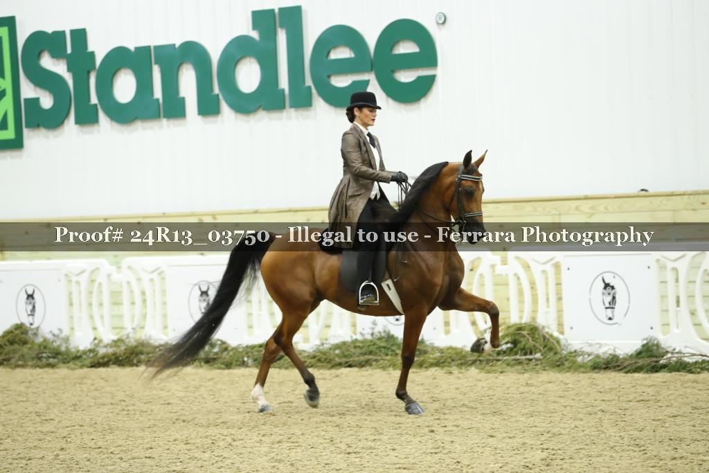 Proof 24R13_03750