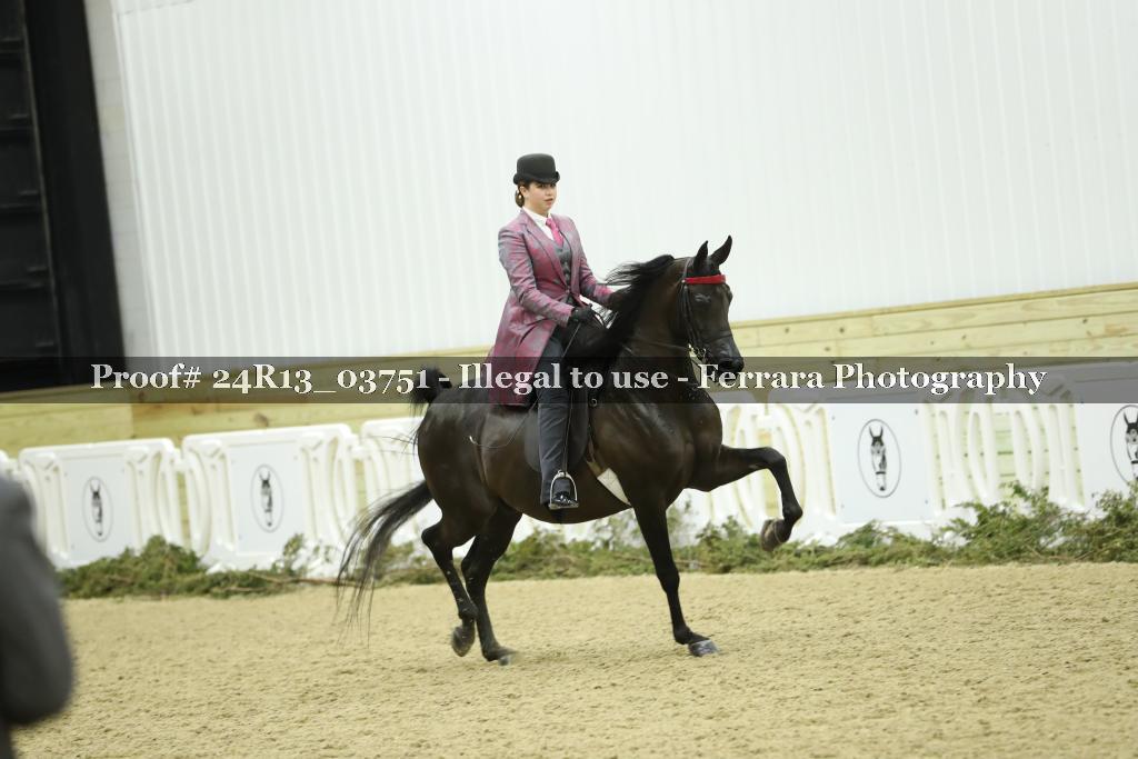 Proof 24R13_03751