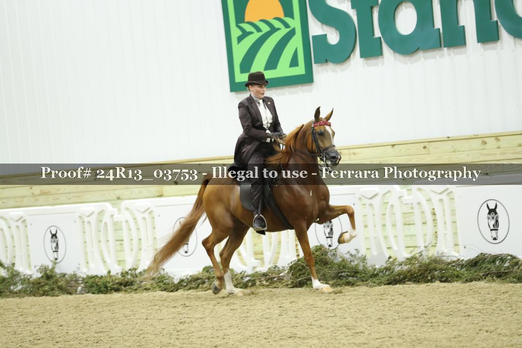 Proof 24R13_03753
