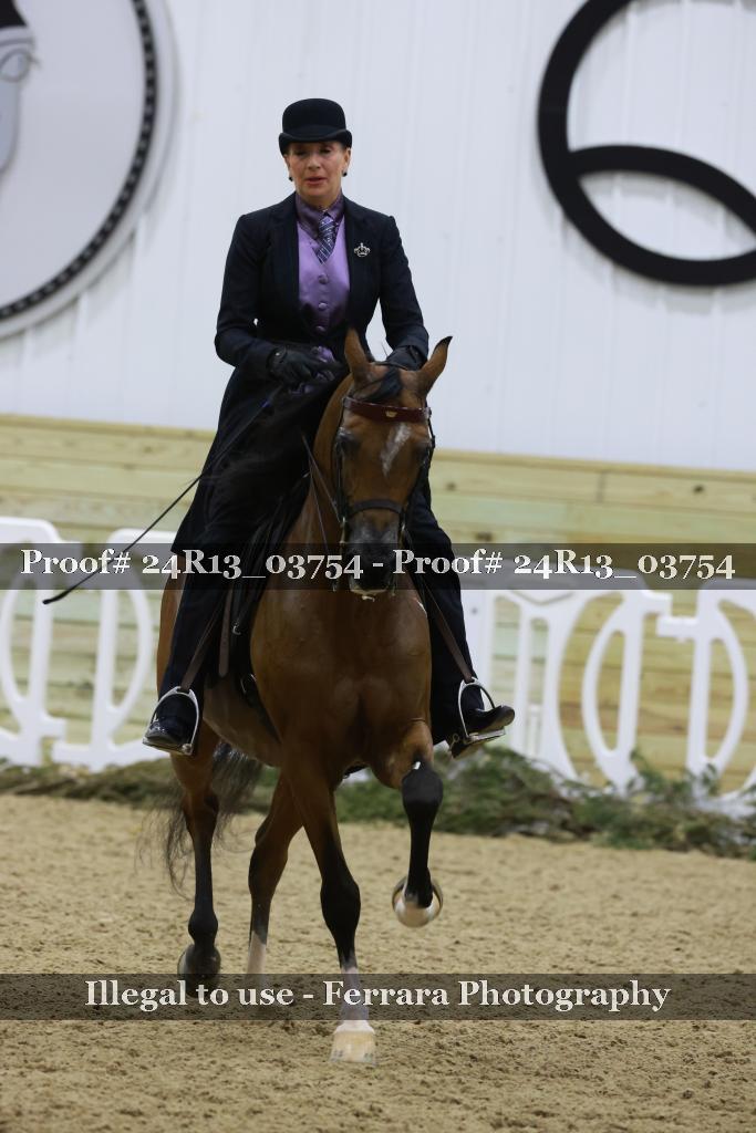 Proof 24R13_03754