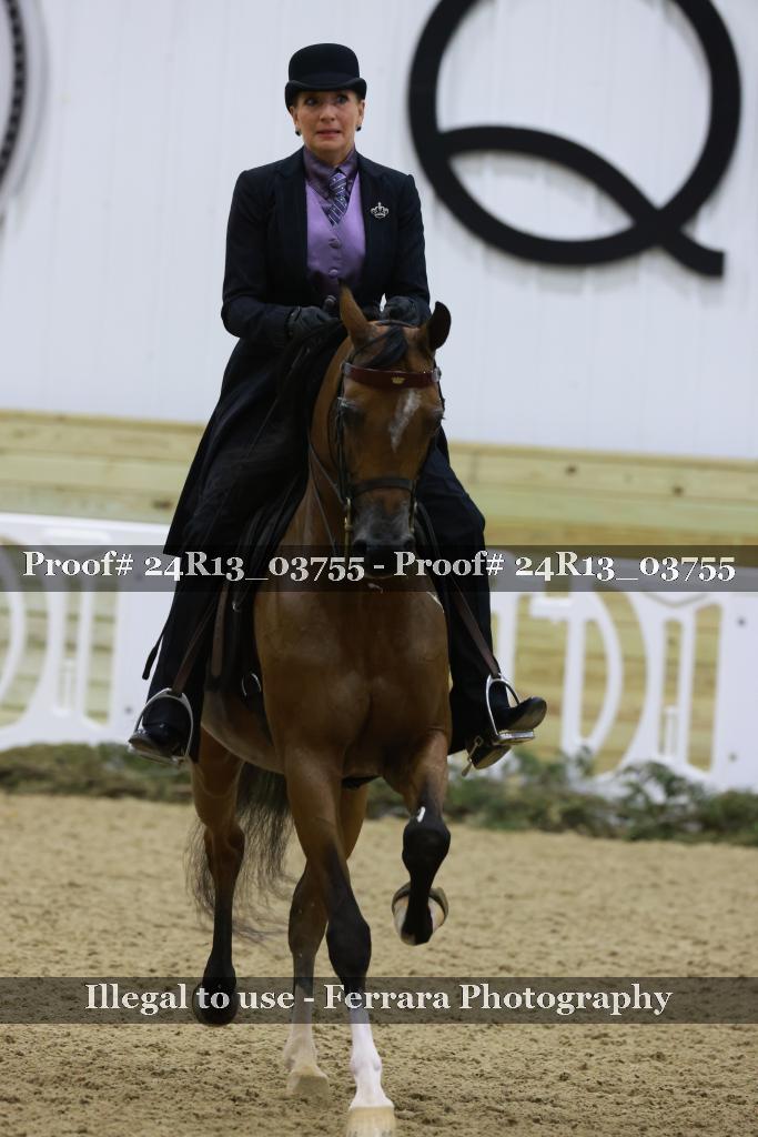 Proof 24R13_03755
