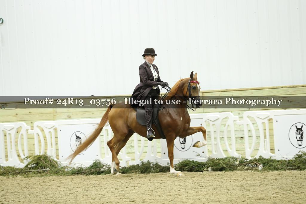 Proof 24R13_03756
