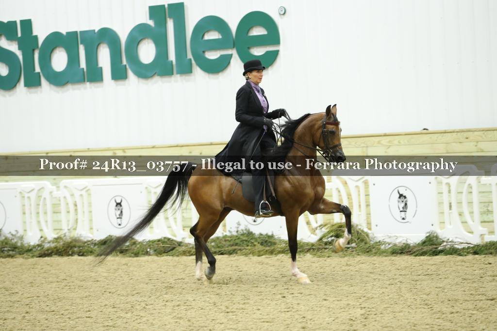 Proof 24R13_03757