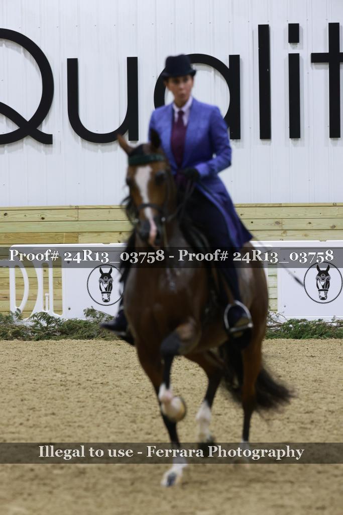 Proof 24R13_03758