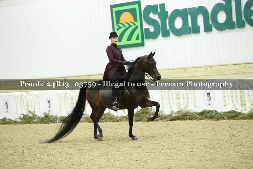 Proof 24R13_03759