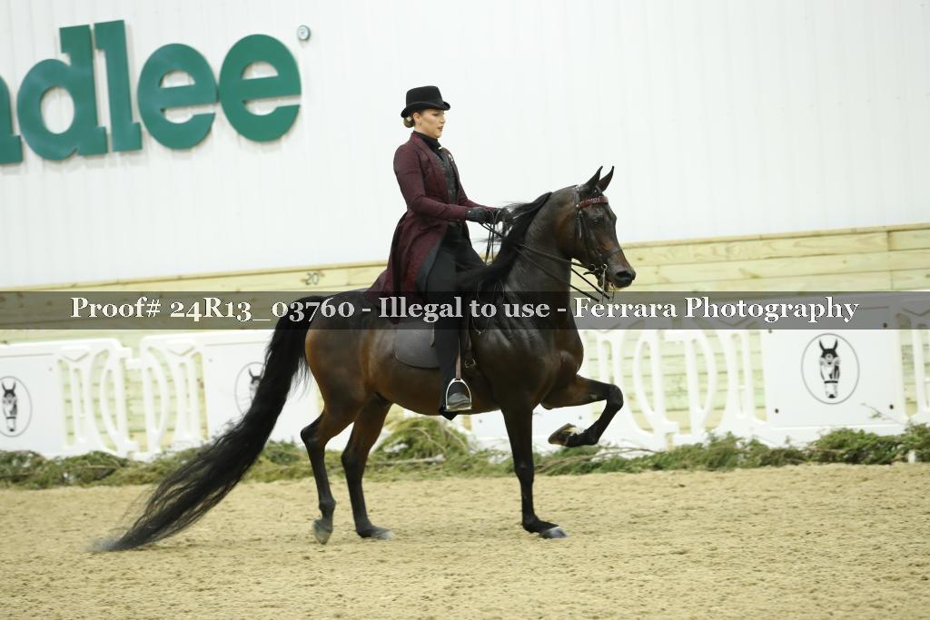 Proof 24R13_03760