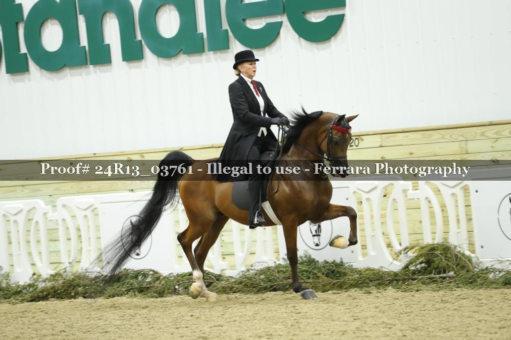 Proof 24R13_03761