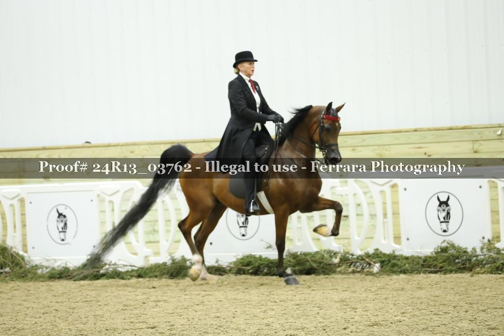 Proof 24R13_03762