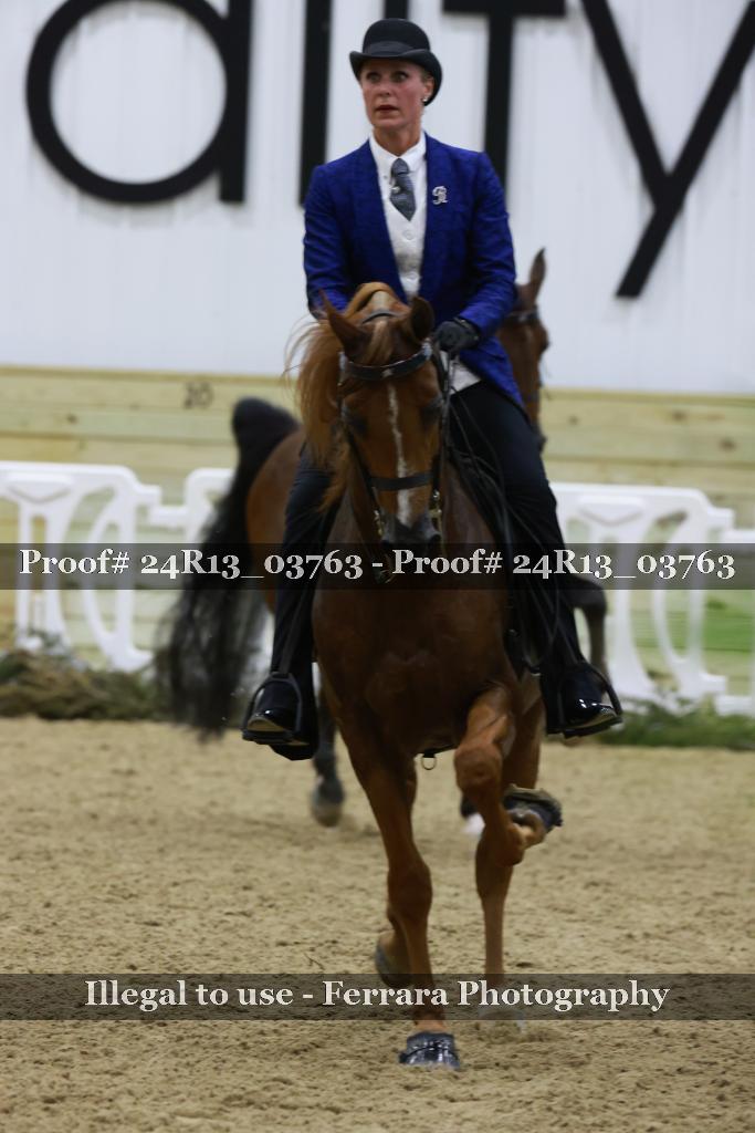 Proof 24R13_03763