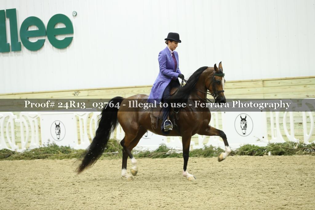 Proof 24R13_03764