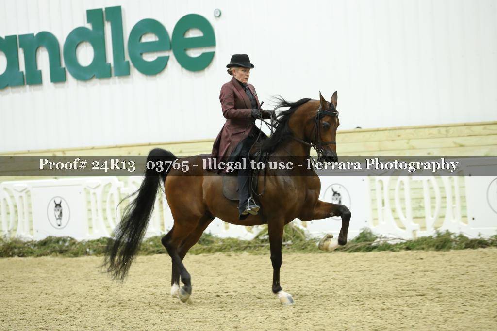 Proof 24R13_03765