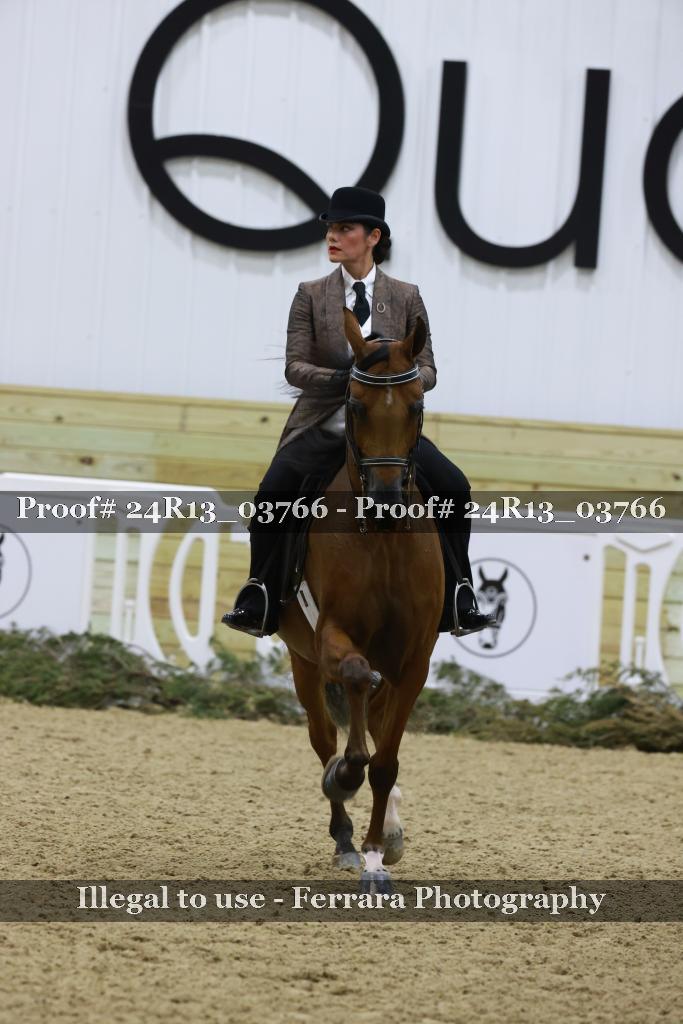 Proof 24R13_03766