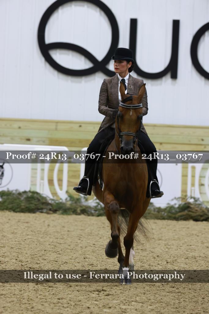 Proof 24R13_03767