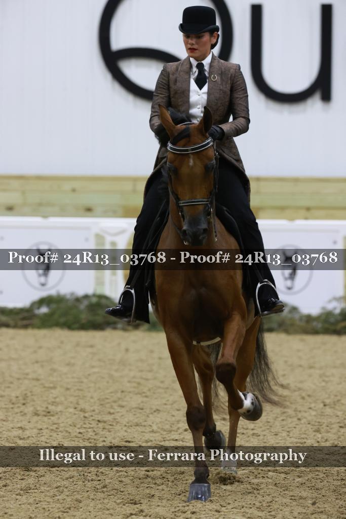 Proof 24R13_03768