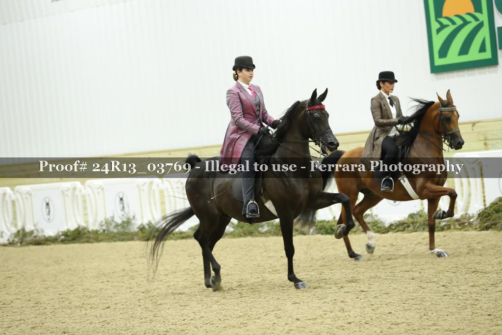 Proof 24R13_03769