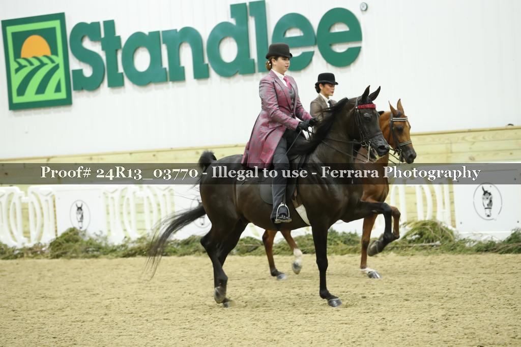 Proof 24R13_03770