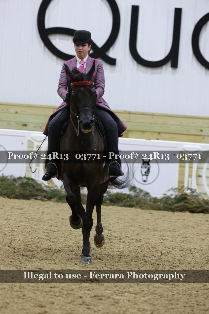 Proof 24R13_03771