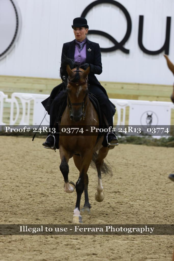 Proof 24R13_03774