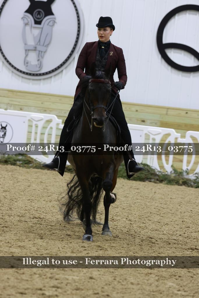 Proof 24R13_03775