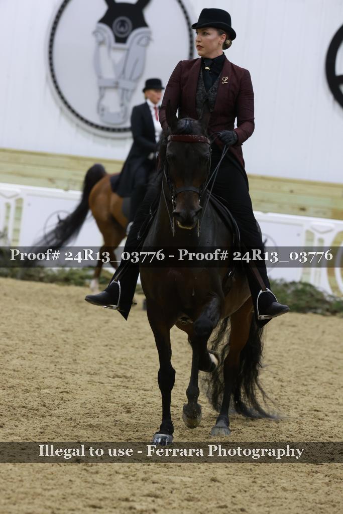Proof 24R13_03776