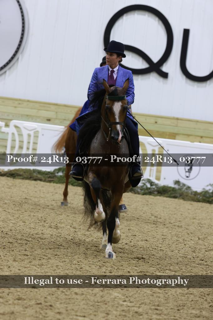 Proof 24R13_03777