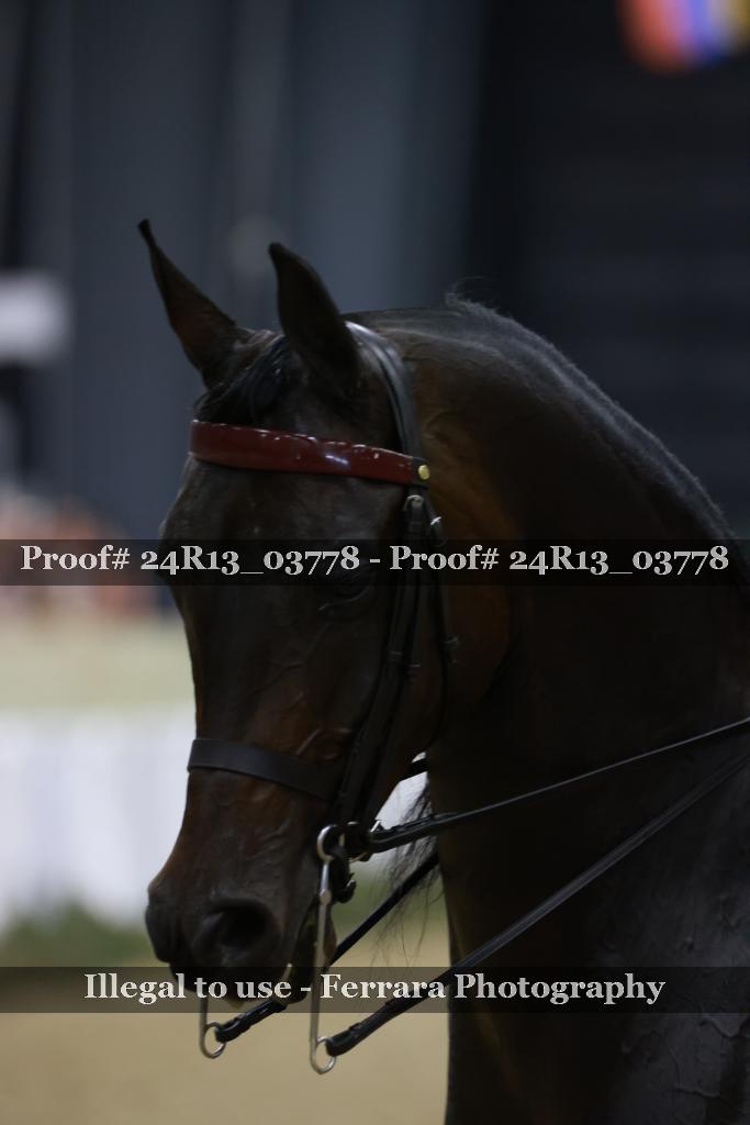 Proof 24R13_03778