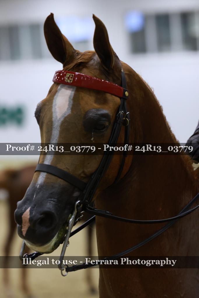 Proof 24R13_03779