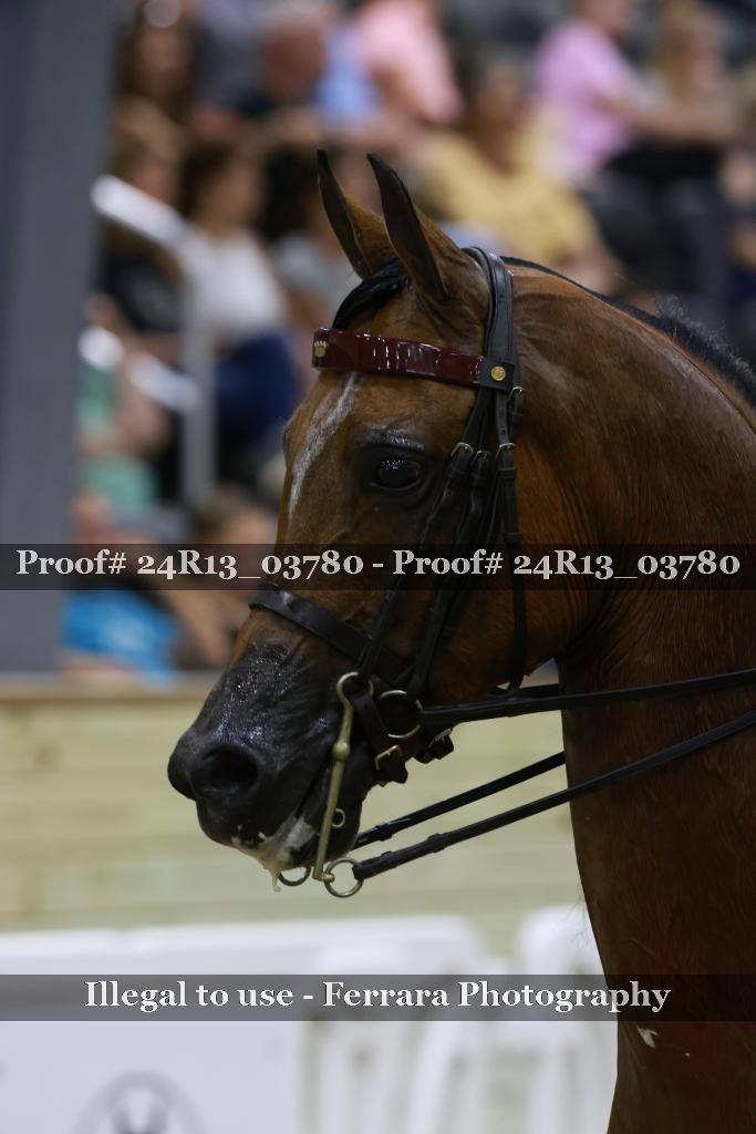 Proof 24R13_03780