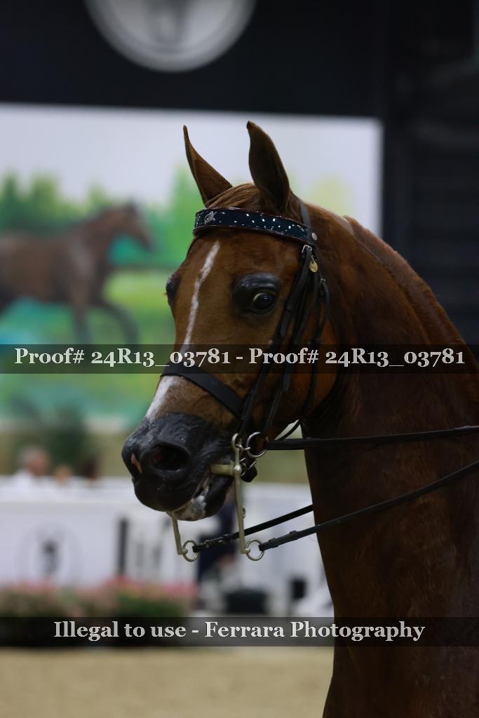 Proof 24R13_03781