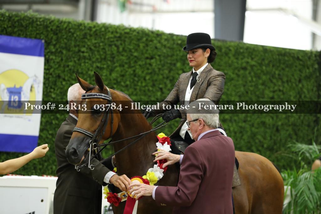 Proof 24R13_03784