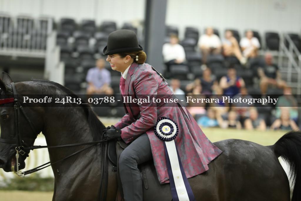 Proof 24R13_03788