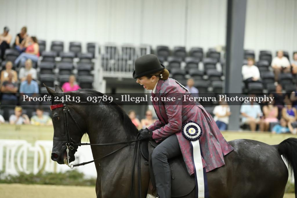 Proof 24R13_03789