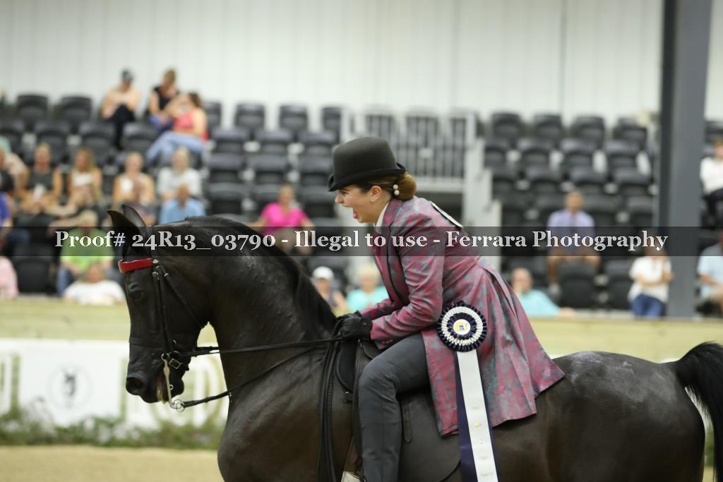 Proof 24R13_03790