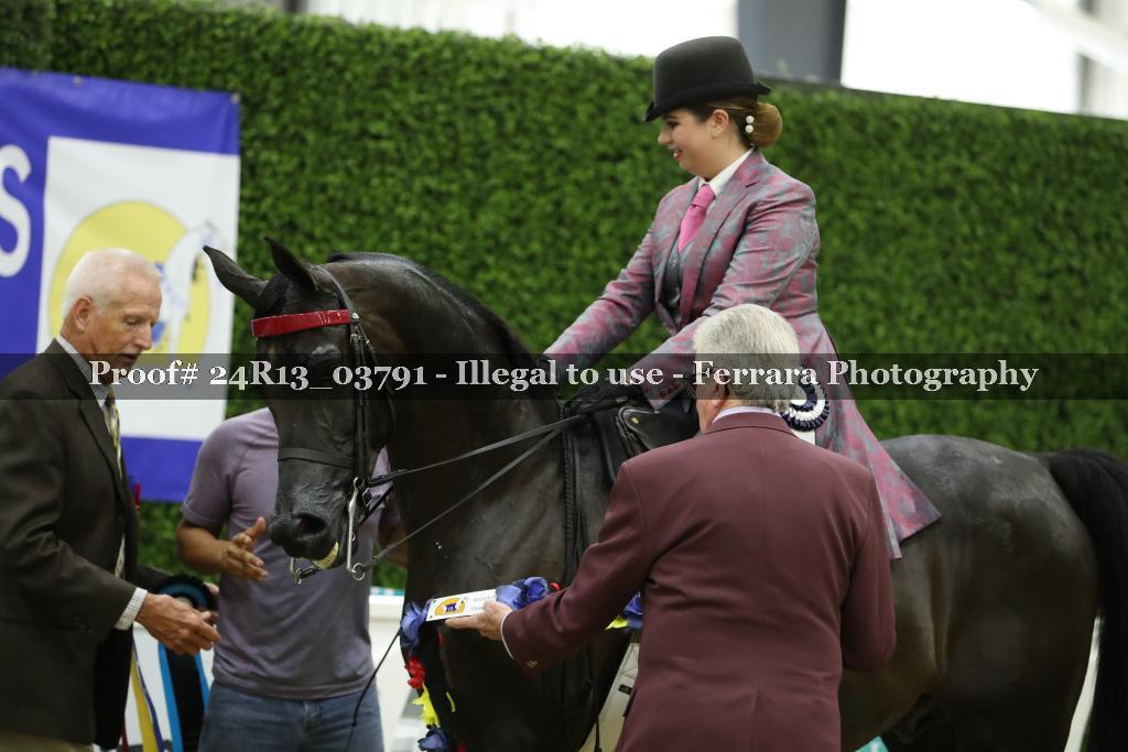 Proof 24R13_03791