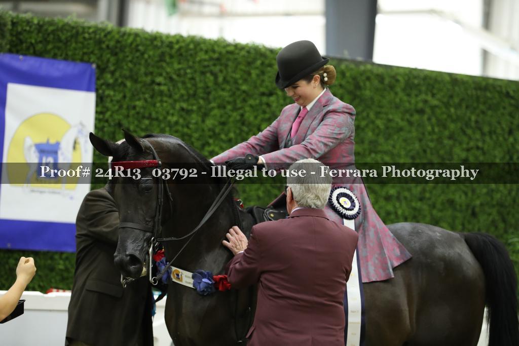 Proof 24R13_03792