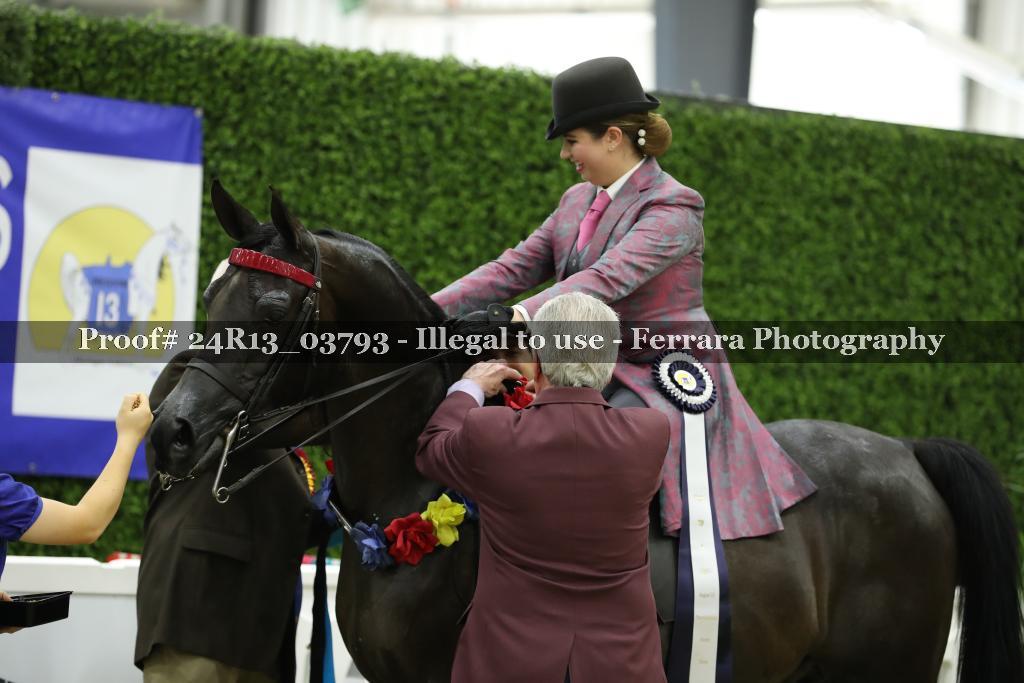 Proof 24R13_03793