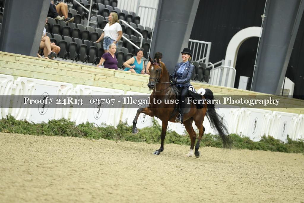 Proof 24R13_03797