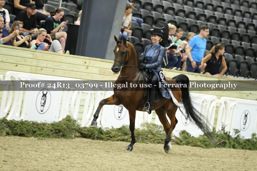 Proof 24R13_03799