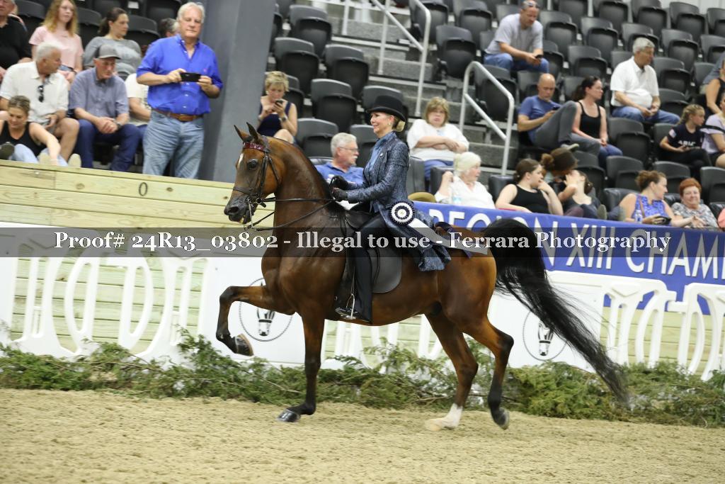 Proof 24R13_03802