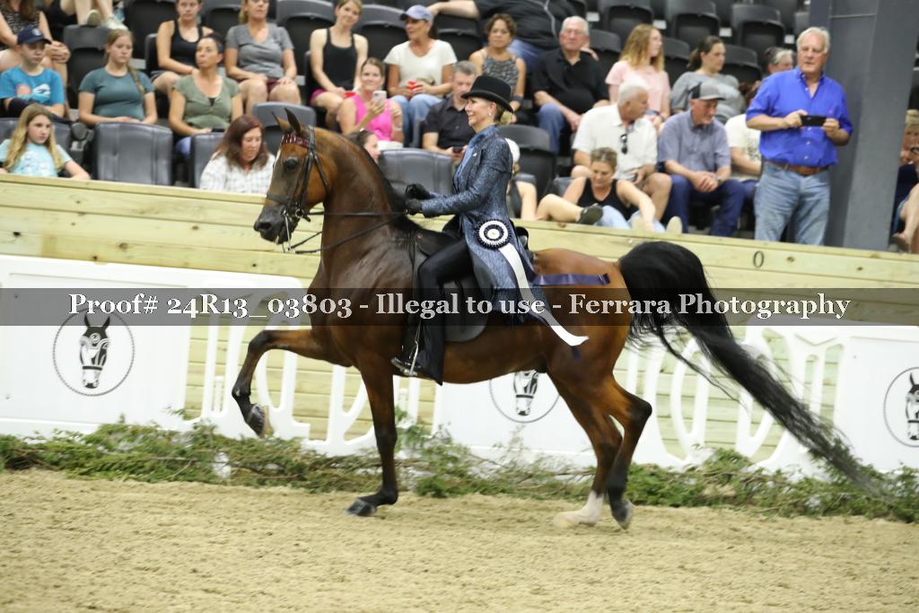 Proof 24R13_03803
