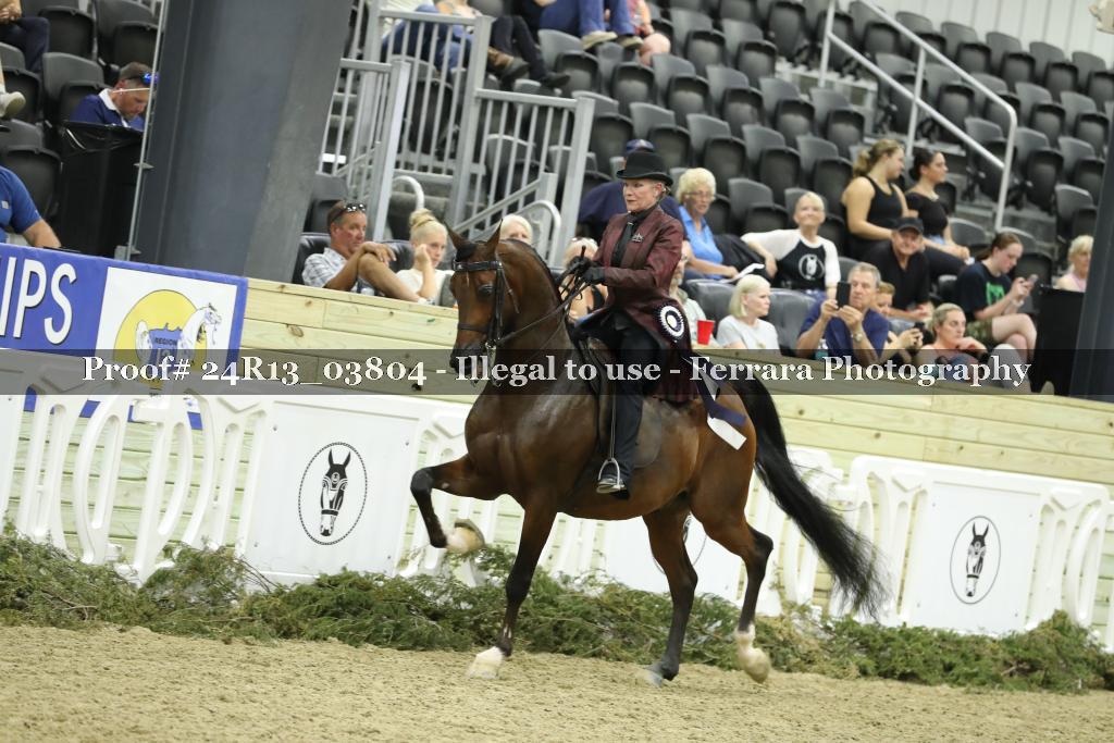 Proof 24R13_03804