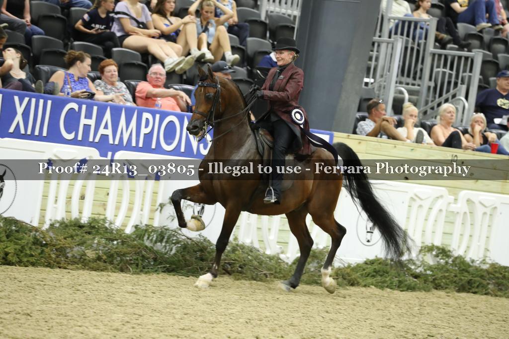 Proof 24R13_03805