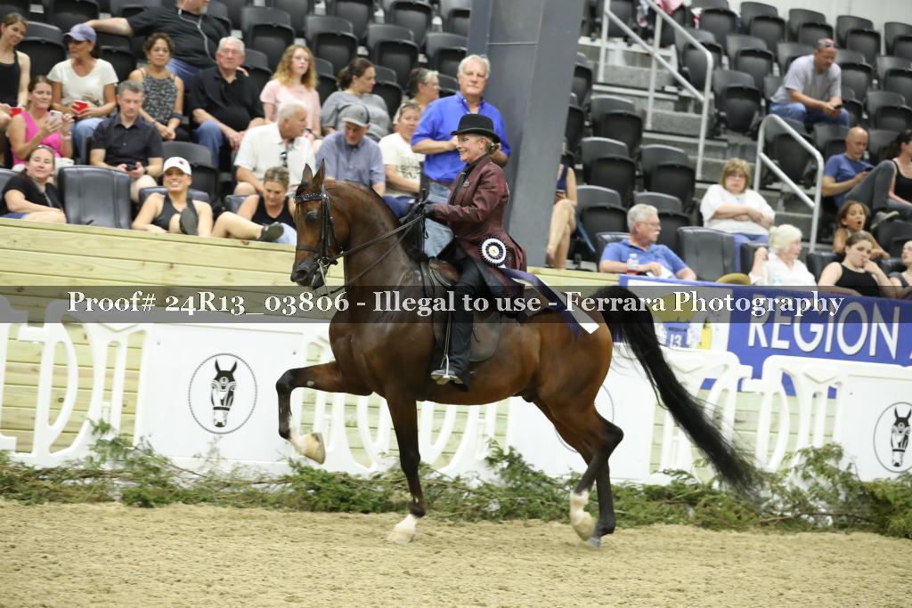 Proof 24R13_03806