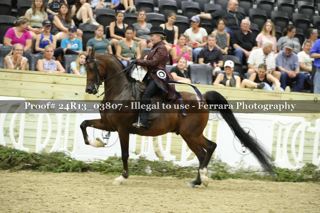 Proof 24R13_03807