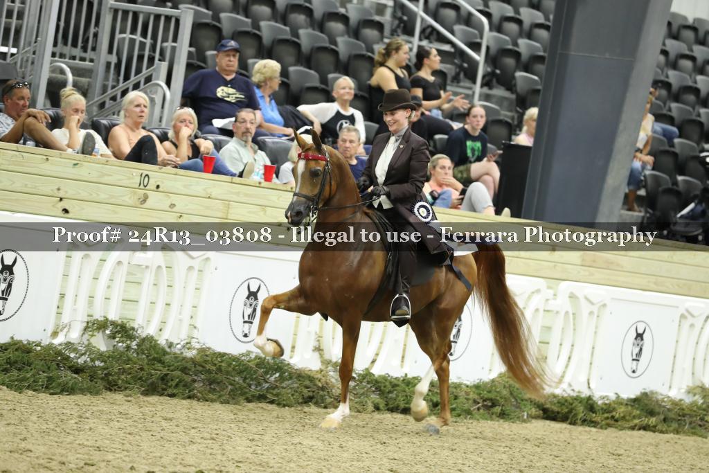 Proof 24R13_03808