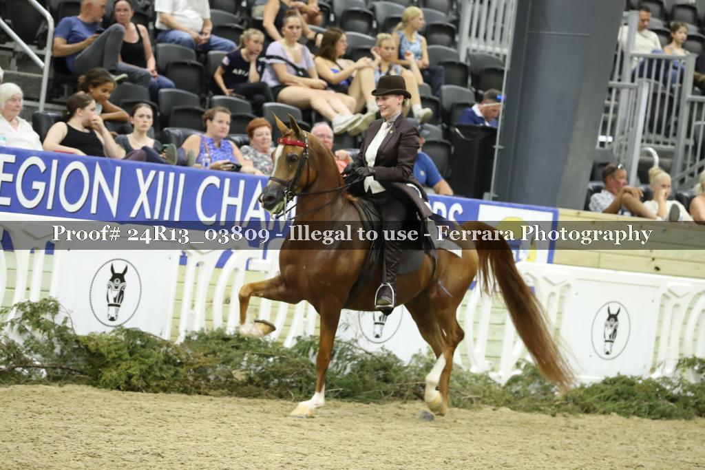 Proof 24R13_03809