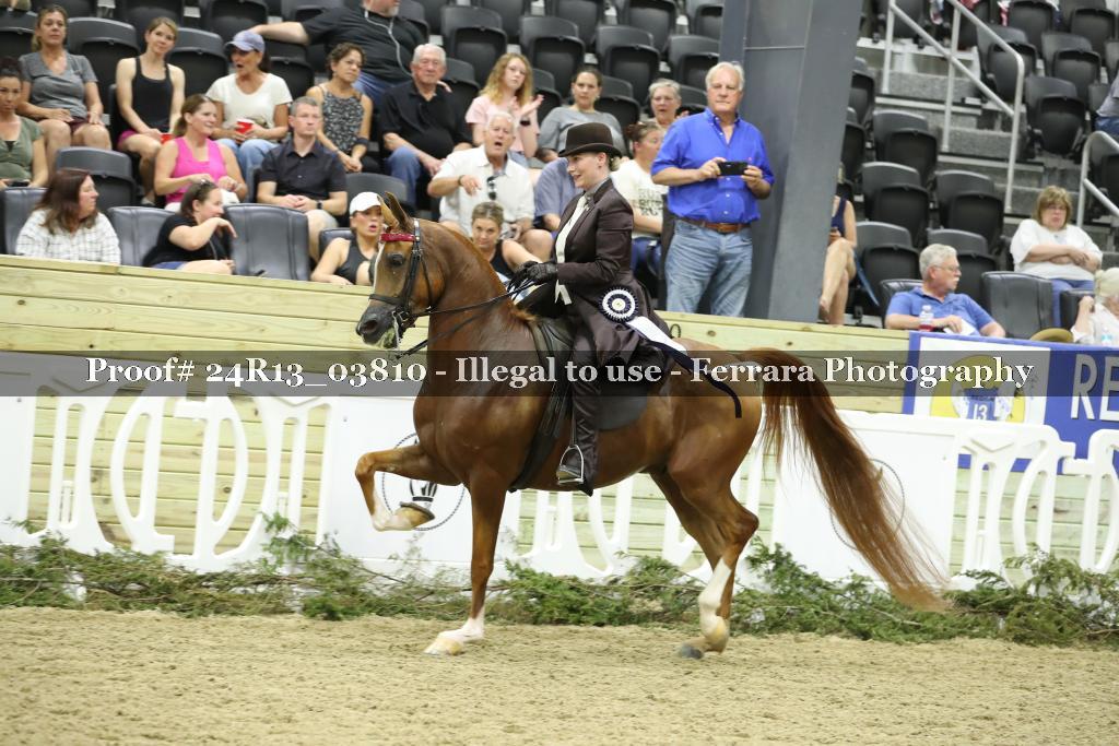 Proof 24R13_03810