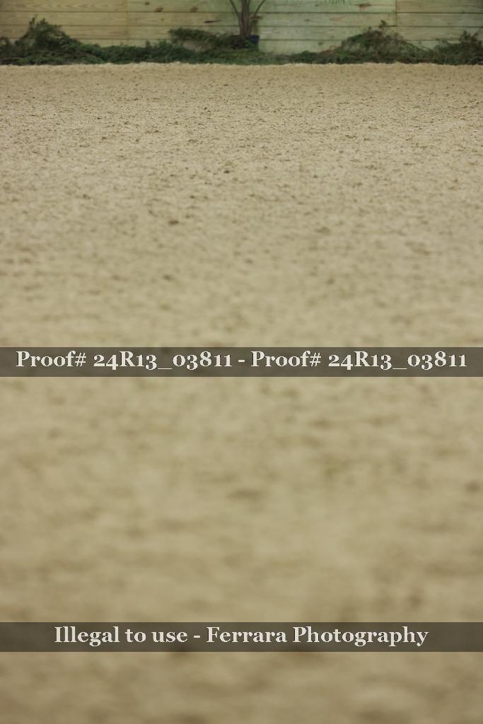 Proof 24R13_03811